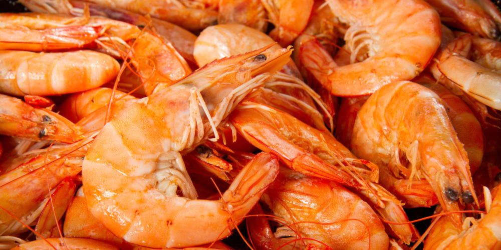 Shell-ebration of the Year: 2025 Prawn Day Announced!!